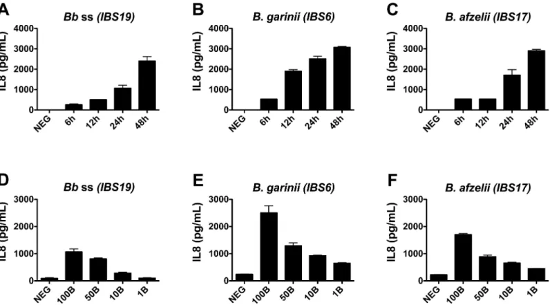 Fig 2. Kinetics and titration of IL-8 secretion by fibroblasts co-incubated with different species of the B