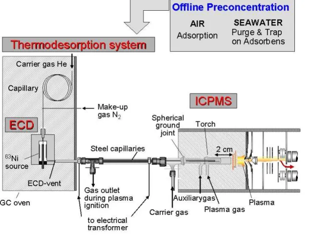 Fig. 1. Schematic overview of the GC/ECD-ICPMS, which is a highly sensitive detection method for halo- halo-genated hydrocarbons.