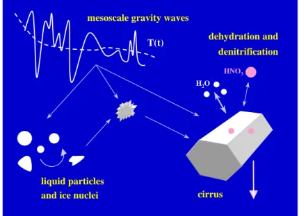Fig. 9. Schematic illustrating some gas-aerosol-cirrus cloud processes in the UTLS region as examined in the present work, affecting the radiation budget and the chemistry of ozone in this part of the atmosphere