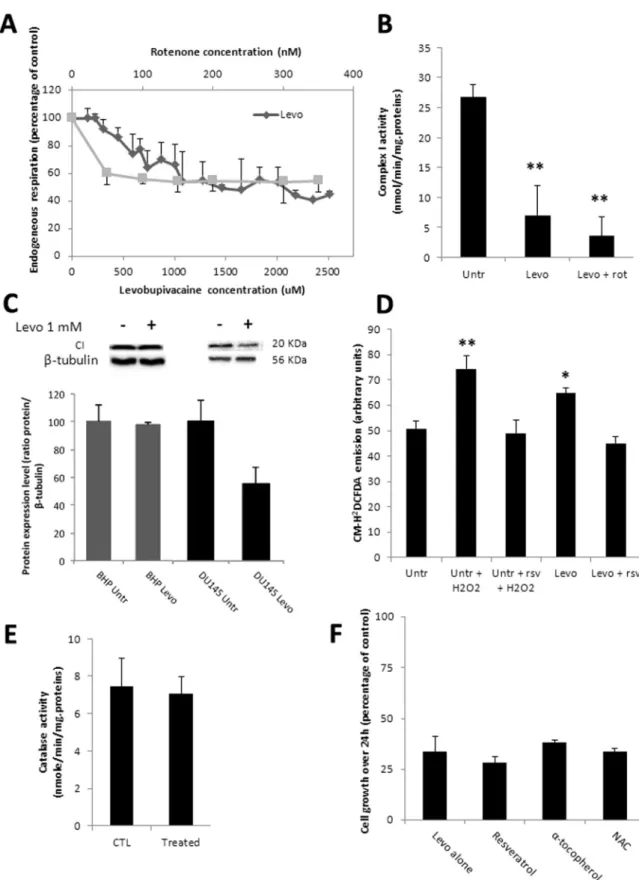 Fig. 2. Impact of 1 mM levobupivacaine on mitochondrial function and composition. (A) High resolution respirometry analysis (Oroboros oxygraph 2-k) of DU145 challenged with a titration of levobupivacaine (diamond) or rotenone (square)