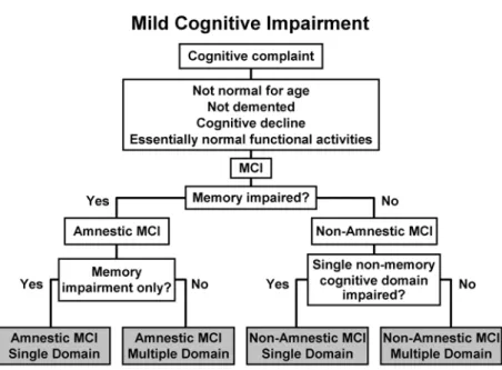 Figure 1. Flow-chart : Amnestic and non amnestic MCI subjects.