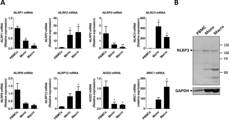 Fig 1. NLR expression in human PBMCs, monocytes and macrophages. (A) mRNA gene expression was measured by RT-qPCR and presented as relative fold change of PBMCs