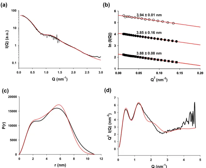 Fig. 4. SAXS and SANS profiles of full-length Par27. (a) Experimental SAXS and SANS data as a function of Q