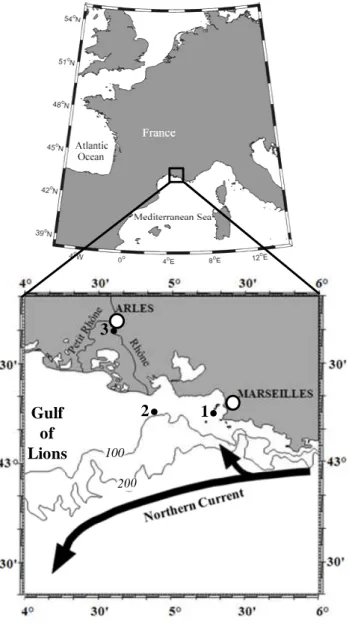 Fig. 1. Map of the Bay of Marseilles marking the location of SOFCOM station (black dot 1) 1016 