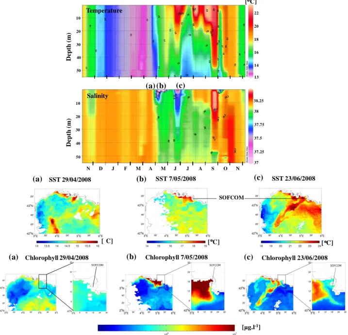 Fig. 2. Top panels:  Temporal evolution of temperature and salinity at SOFCOM station from 1020 