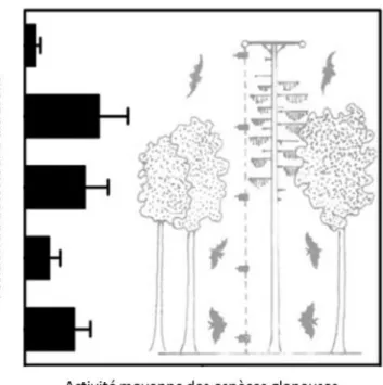 Figure 18 Activité des espèces glaneuses en fonction des différentes strates (d'après Müller et al., 2013)