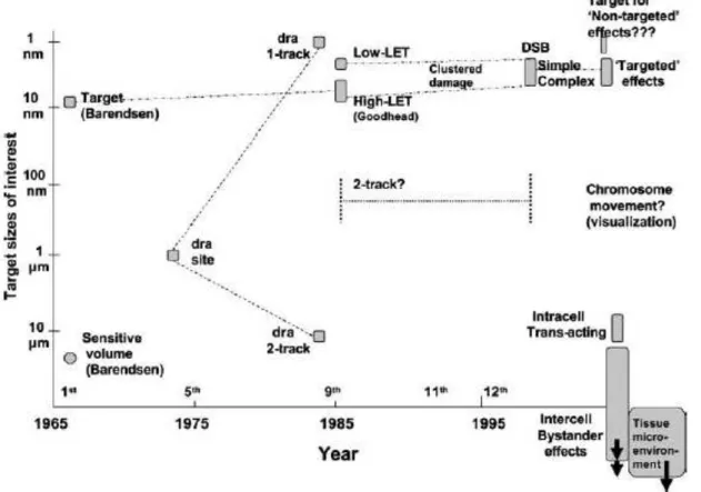 Figure I-8 : Evolution historique des tailles des cibles biologiques pour l’étude des effets biologiques  [GOO06]