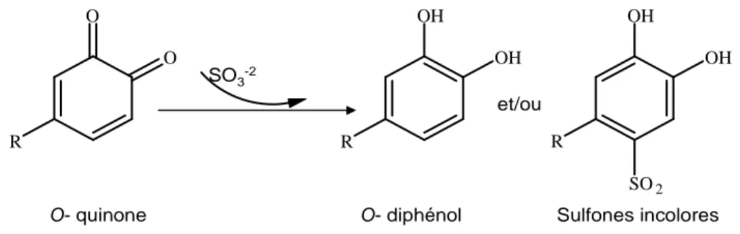 Figure 12 : réaction entre une quinone et un sulfite  I.9.1.3. Réactivité avec l’eau 