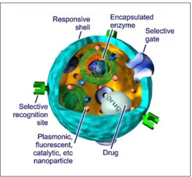 Figure 2.  Image futuriste d’une microcapsule multifonctionnelle intelligente  (Motornov et al.,  2010).