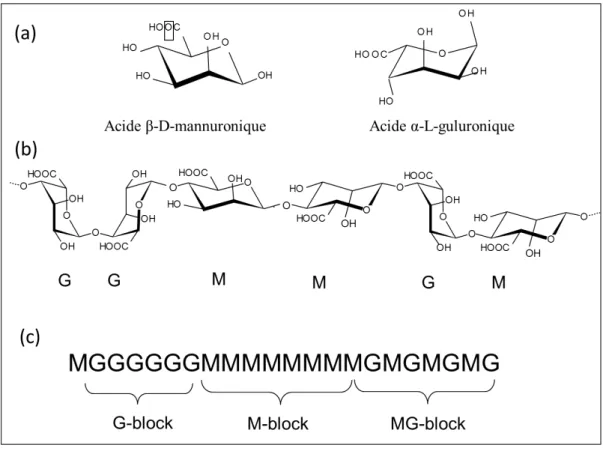 Figure 5.  Structure chimique de l’alginate de sodium: monomères d’acides uroniques(a),  conformation des chaînes (b) et distribution des blocs(c)