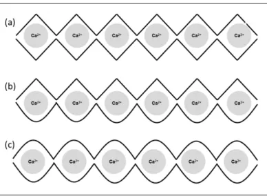 Figure 7.  Les points de jonction possibles dans un hydrogel d’alginate. Jonctions GG / GG  (a), jonctions GG/MG (b), et jonctions MG/MG (c)