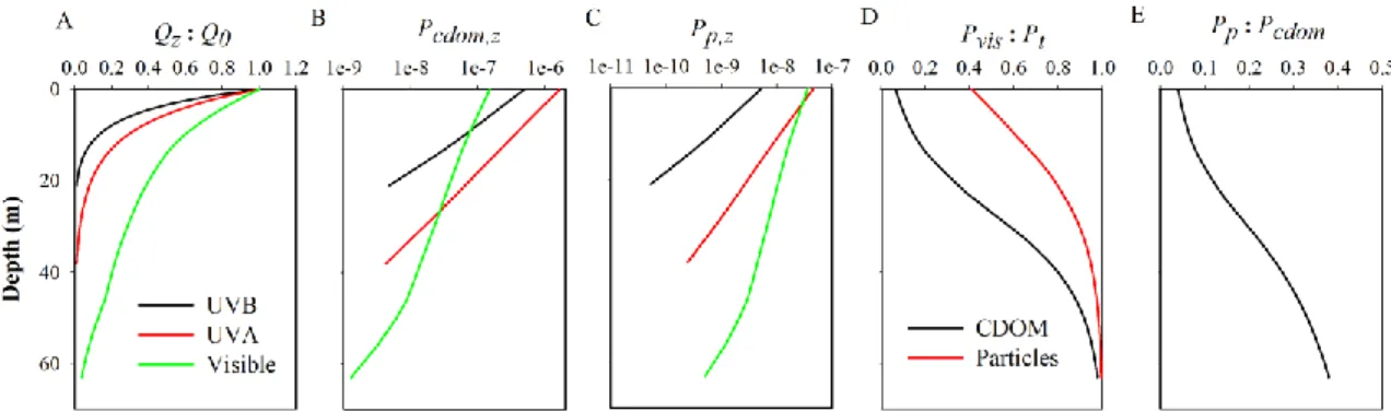 Fig.  6.  Modeled  vertical  profiles  of  normalized  solar  irradiance  (A),  CO  photoproduction  rate 6 