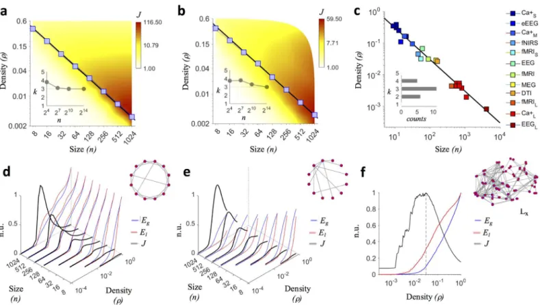 Fig 1. Density threshold in synthetic networks and in brain networks. (a–b) Blue curves show the trends of the connection density threshold ρ for one-hundred generated small-world p ws = 0.1 and scale-free m ba = 9 networks along different sizes n