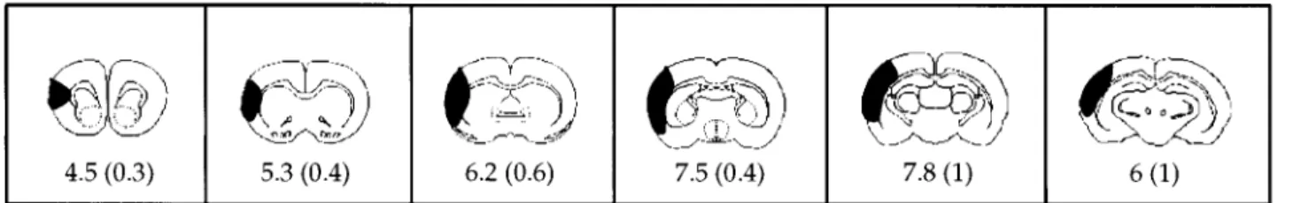 Figure 2 depicts the six serial cross-sections, with the black shaded area indicating the mean area of infarction for that section at 48 hours of reperfusion