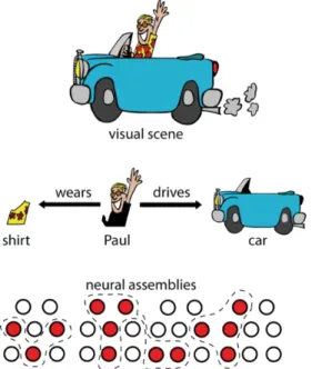 Figure 5. Perceptual scenes are highly structured. For example, there is Paul (person I know), driving a car,  and wearing a new shirt