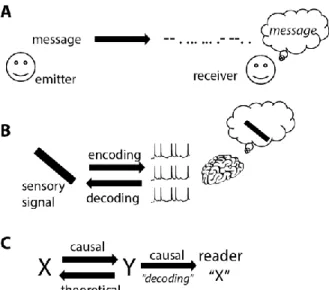 Figure 1.  The coding metaphor. A, An emitter transmits a message to a receiver, in an altered form named 