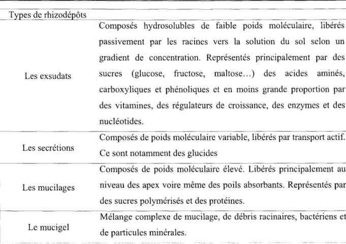 Tableau 2: les  différentes  catégories  de  rhizodépôts (d'après Rovira,  1969)  selon leur composition biochimique  et leur mode de libération