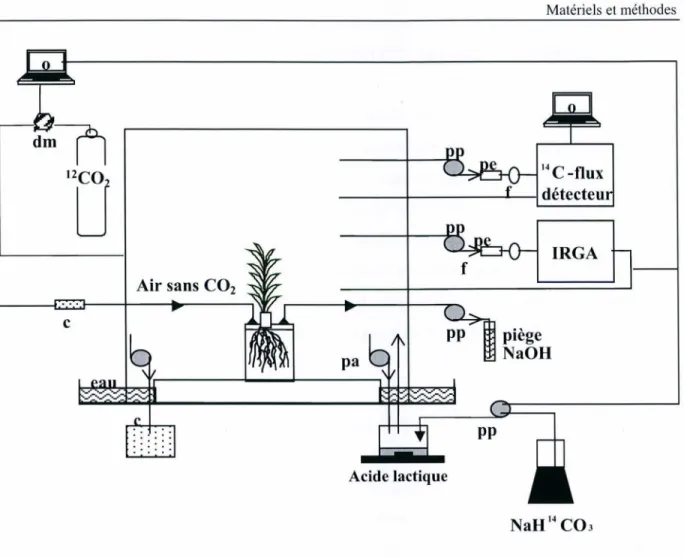Figure  7:  Dispositif  de  marquage  des  parties  aériennes  des  plantes  au  C0 2 ,  C0 2•  c  chaux  sodee,  dm :  débitmètre  massique,  f :  filtre  de  0,2J.un,  o  :  ordinateur,  pp :  pompe  péristaltique ;  pa  :  pompe  aquarium ;  pe  :  pièg