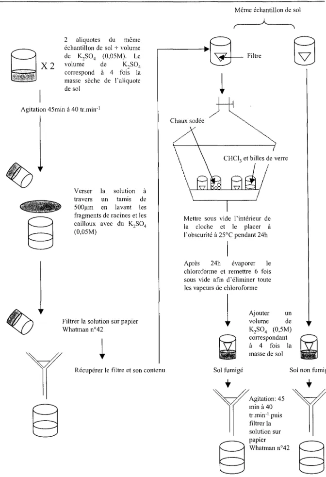 Figure  12:  Représentation  schématique  de  la  pré  extraction,  fumigation  extraction  (Vance  et  al.,  1987)