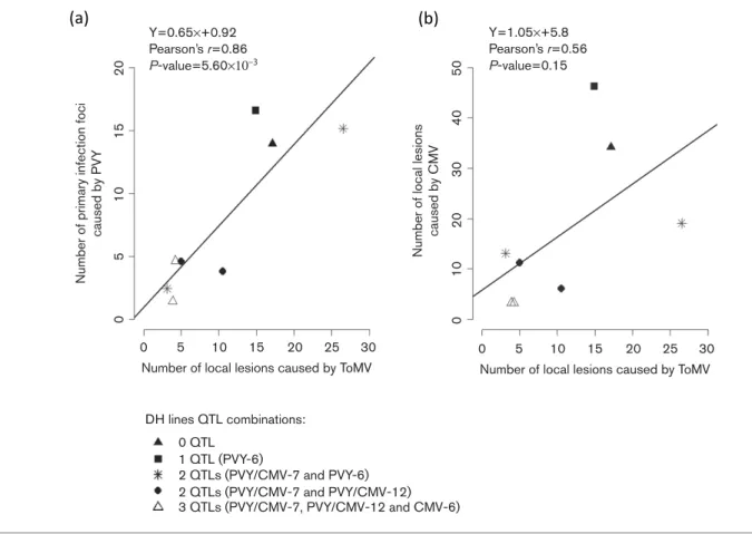 Fig. 5. Correlation between the number of lesions induced after inoculation by ToMV and PVY (a) or ToMV and CMV (b) on eight DH lines carrying different QTL combinations