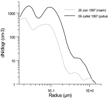 Fig. 3.2 – Spectres initiaux de particules d’aérosols secs mesurés pendant la cam- cam-pagne ACE-2 pour le cas pollué du 09 Juillet (noir) et le cas marin propre du 26 Juin (gris clair).
