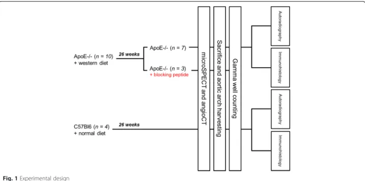 Fig. 1 Experimental design