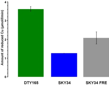Figure 5.  Net variations of the Cu concentration and isotopic composition in S. cerevisiae for the wild- wild-type (DTY165, green), the  ∆ ctr1 ∆ mac1 double-knockout strain (SKY34, blue), and the  ∆ ctr1 ∆ mac1  strain where FRE1 is under the promoter of