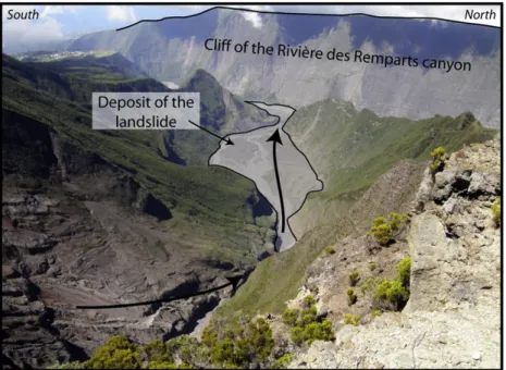 Fig. 3. The Bras de Mahavel arm. The 1965 landslide travelled along the narrow valley and was stopped by the 1000 m-high cliff of the Rivière des Remparts canyon, visible in the background.