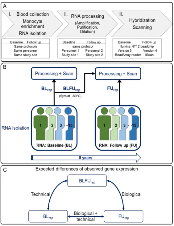 Fig 1. Experimental setting. A: Work flow of RNA extraction, processing and hybridization at study ’ s baseline (BL) and follow up (FU) examination