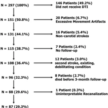 Fig. 3. Patient inclusion flowchart.