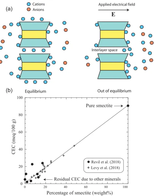 Figure 4. Polarization and conduction in smectite. (a) Conduction occurs both in the electric double layer and through the interlayer porosity
