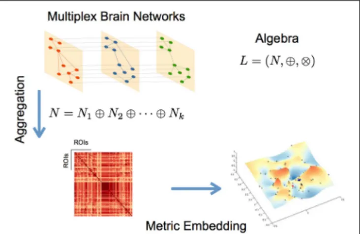 Figure 1 summarizes the metric embedding of a multiplex network described above.