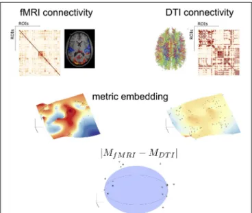 FIGURE 2 | Topological algebraic networks comparison. Connectivity from different modalities (here fMRI and DTI) are firstly embedded (black dot points on the manifolds indicate the brain nodes) and then compared in a low-dimensional space