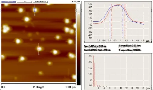 Fig. 7. AFM image of 300-nm nigrosin coated with a 100-nm DEHS shell (400-nm particle diameter)