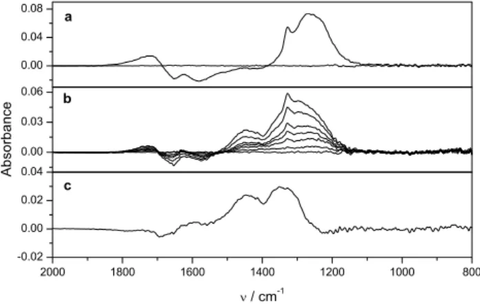 Fig. 1. Absorption difference spectra recorded during the reac- reac-tion of mineral dust with SO 2 and NO 2 