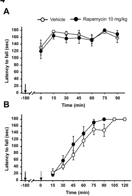 Figure S4: Systemic administration of rapamycin does not alter sensorimotor coordination 