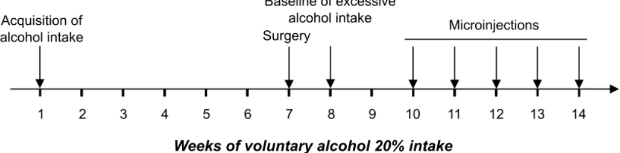 Figure  S5:  Schematic  representation  of  the  experimental  design  of  intra-Nac  infusions  of 