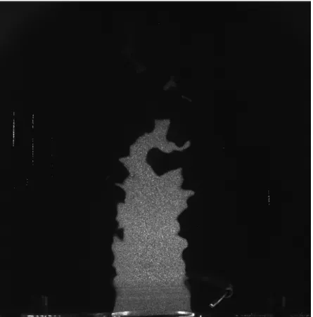 Figure 28: Image obtenue par tomographie laser d'une flamme méthane - air   de richesse 0,7 à pression atmosphérique 