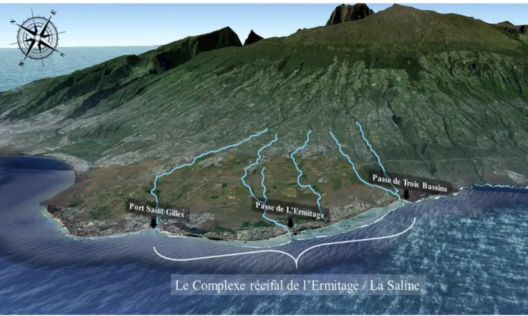 Figure 2.11. Vue aérienne du complexe récifal de L’Ermitage / La Saline. Localisation des influences  hydrologiques (google earth) 