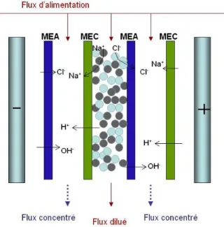 Fig. 1-17. Principe de fonctionnement de l’électrodéionisation pour la production d’eau ultra  pure à partir d’une solution de NaCl