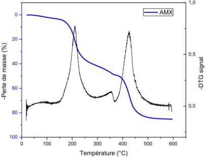 Fig. 1-20. Profil de dégradation thermique d’AMX-SB et sa dérivée.  