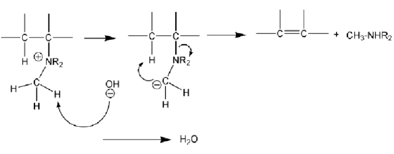 Fig. 1-25. Dégradation des groupements ammonium dans les milieux alcalins par élimination  E1 [153]
