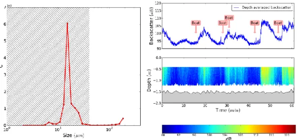 Figure 2    Left: Particle size distribution from LISST measurement, hashed zone represent bubble resonant radius  for frequency of our ADCP (1200 kHz)