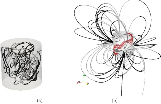 Figure 2: Snapshot of a dynamo run at Re = 1200, Rm = 2400 showing (a) internal magnetic field lines in the cylinder cavity, colored by the axial component vorticity (grey/black for positive/negative axial component) and (b) vorticity field lines (red) in 