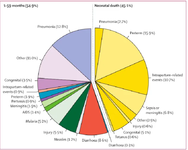 Figure 1: Causes de décès des moins de 5 ans en 2015 dans le monde (Source Liu et  al