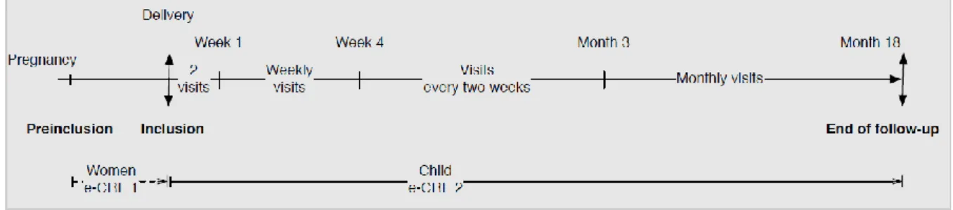 Figure 9: La fréquence des visites de suivi des enfants BIRDY. 