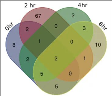 FIGURE 1 | Venn Diagram of differentially expressed lncRNA transcripts in CF vs. non-CF cells at each time point of infection.