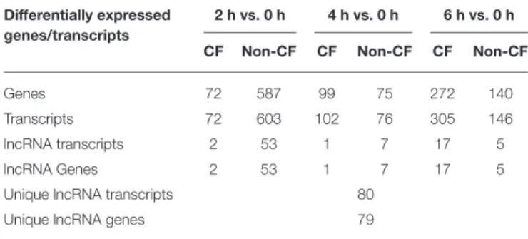 TABLE 3 | Genes and lncRNAs differentially expressed in CF and non-CF cells at different time points of infection compared to the non-infected status (0 h).