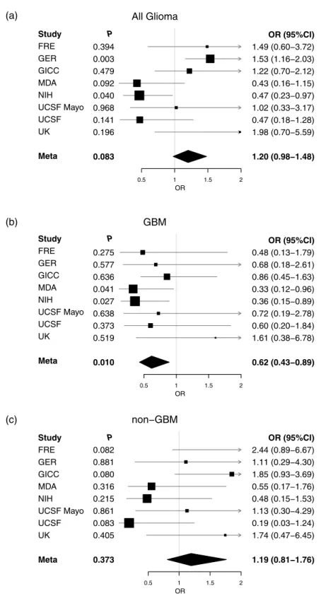 Figure 3.  Individual cohort and meta-analysis ORs calculated using the MLE method. (a) All glioma, (b)  GBM and (c) non-GBM glioma