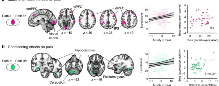 Fig. 2 Whole brain mediation analysis. a Overview. A mass-univariate mediation analysis was performed to identify: (1) activity increases for high &gt; low social information and CS (Path a ), (2) activity associated with increased pain ratings when contro